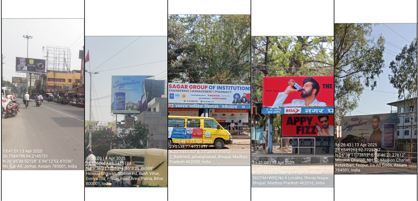 Outdoor Advertising Audit